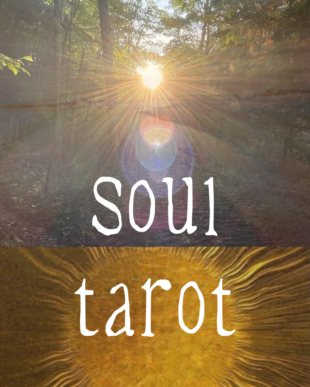 Personalized Tarot Reading - A Wilder Message